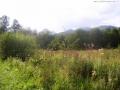 Bieszczady(070)