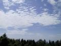 ciel8