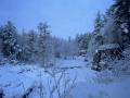 neige3