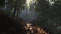 02546 forestforthetrees 1920x1080