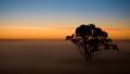 02682 treeinthemist 1920x1080