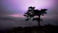 02713 twilightatravensroost 1920x1080