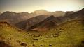 02757 lonesomeshepherd 1920x1080