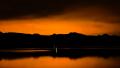 02791 orangesilhouette 1920x1080