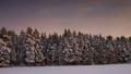 02794 landscapecoveredinsnow 1920x1080