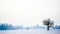 02806 winterwonderland 1920x1080